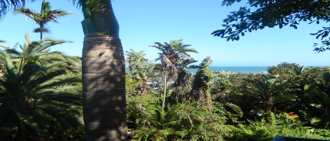 Margate KZN Holiday Rental, unit to rent, affordable, best, Shelly Beach, Uvongo, Manaba, Ramsgate, vakansie woonstel, huur, lang, naweek, C en Sand Vakansie Huur, rental, accommodation, affordable